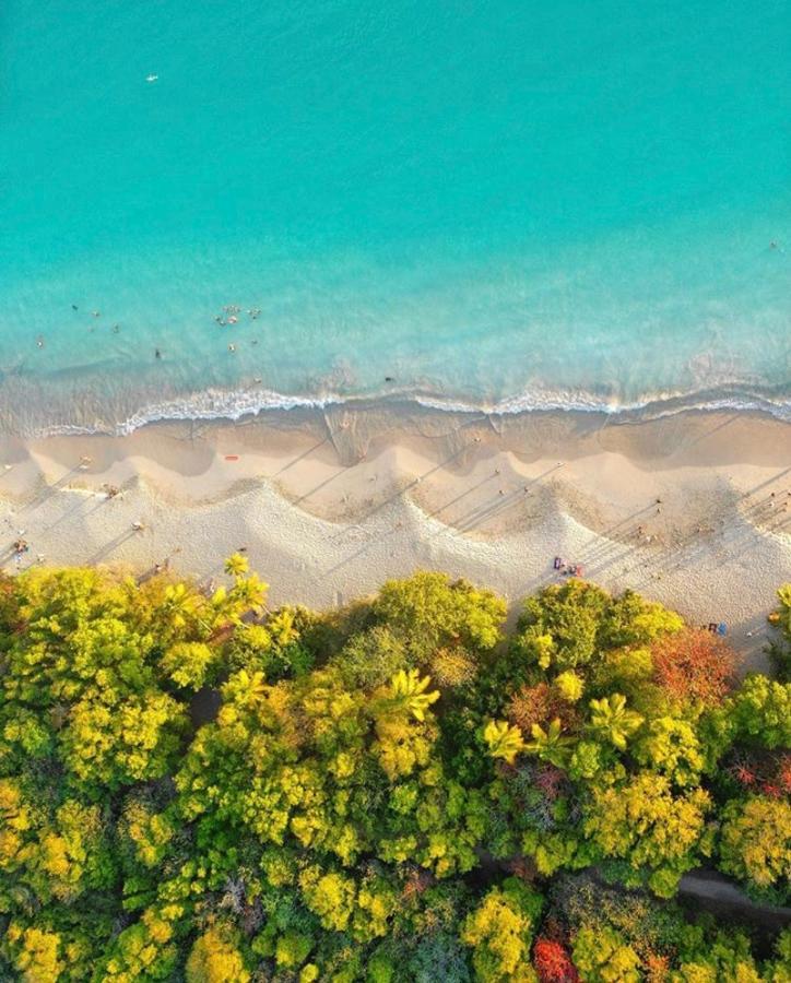 Somptueux Duplex Sur La Route Des Plages Sainte-Anne Eksteriør billede